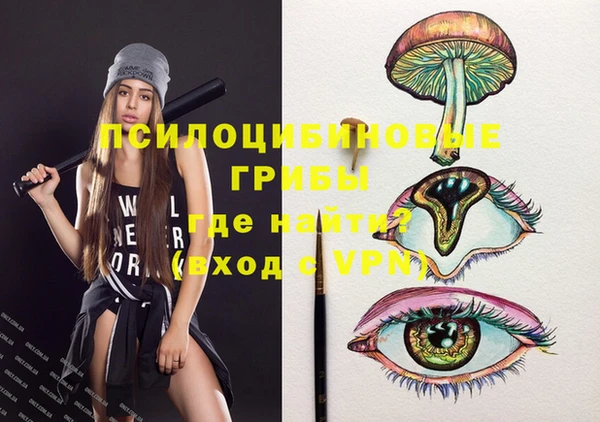 стафф Белокуриха