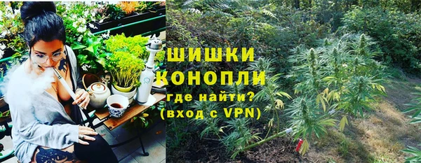 стафф Белокуриха