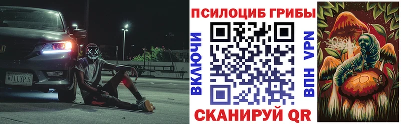 Псилоцибиновые грибы мицелий  Кувшиново 